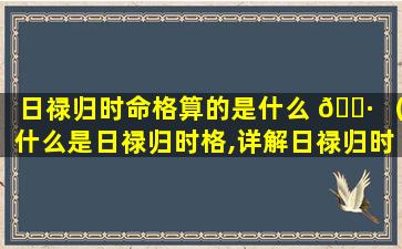 日禄归时命格算的是什么 🕷 （什么是日禄归时格,详解日禄归时格）